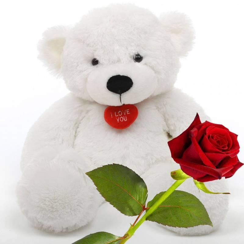3ft White Cute Teddy Bear product332
